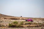 LR-250410120317-MMPHOTO1