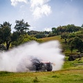 GDT48544