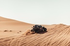 M61 2124